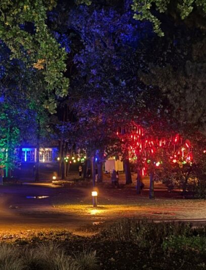 Screenshot_20251025_214142_Gallery