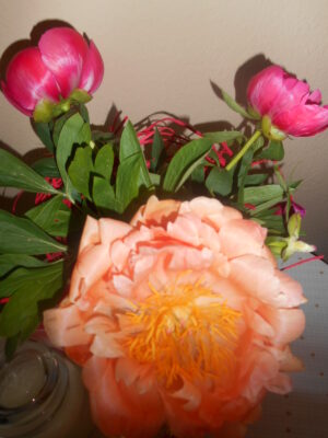 Ein tag im Harz 2016 Juli 001