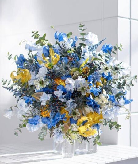 440850615_948734733922728_934460507881826712_n