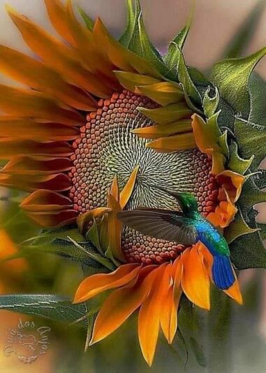 120466044_128267115686273_3164205366701959799_n