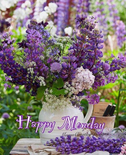 289354720_3226715100899618_212149446903865351_n