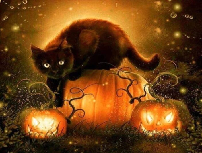 311690868_5480889851960704_2151131381041708082_n