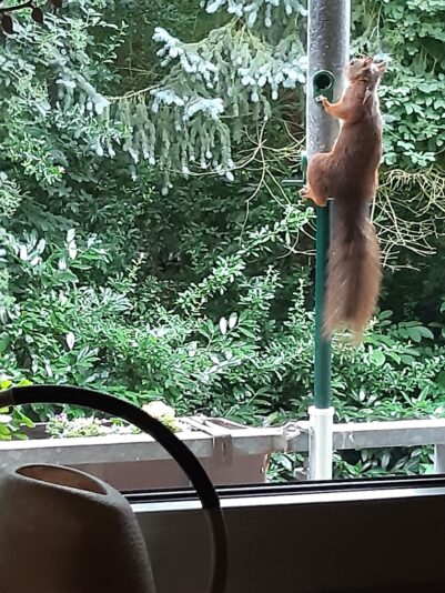 6ED31EAD-2D7B-4D2C-9C55-1AC60A966D8C