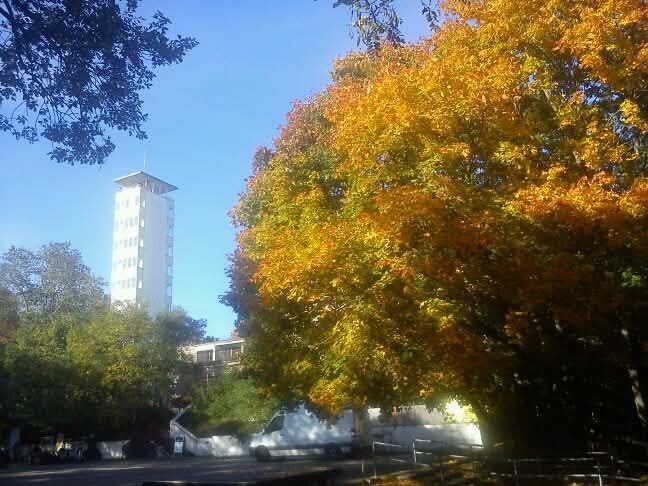 559566889_25305641519043583_3868513891991606796_n