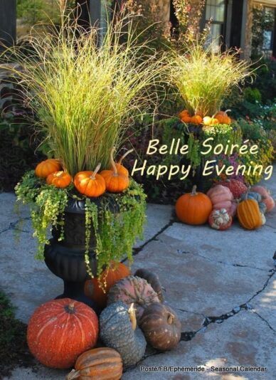 306322986_5724505557599493_228713583339664224_n