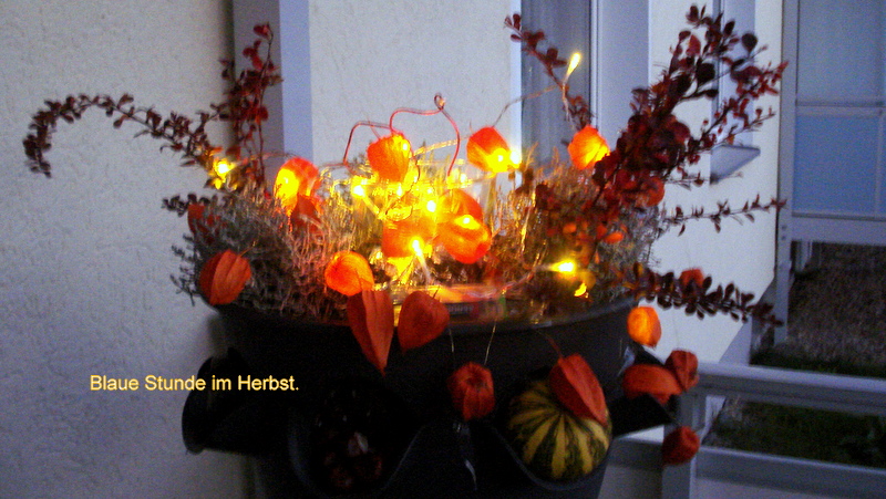 Lampions in der blauen Stunde. 17,20 Uhr