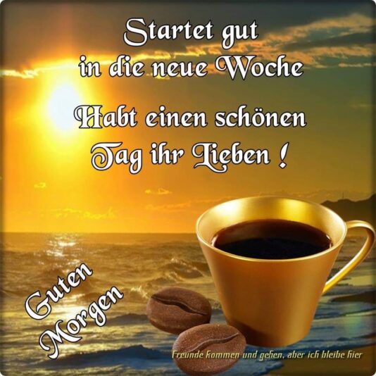 236473716_345104387289685_6901578769267788887_n (1)