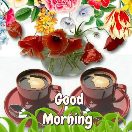 105982870_576159503339648_3453796223007187725_n