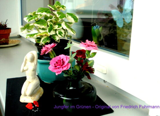 Jungfer im Grünen - Original von Friedrich Fuhrmann.