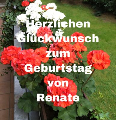 479E231A-8A92-42E9-9B21-0B50E92E6831