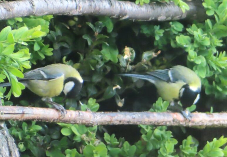 20240424141226_IMG_4405