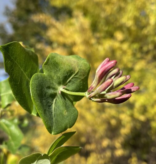 1567847A-2B8F-4D64-88F1-7499E5CF8492