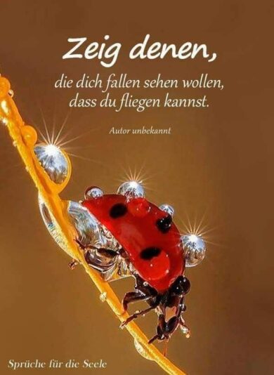 241700673_385662773024262_6229432889242628673_n