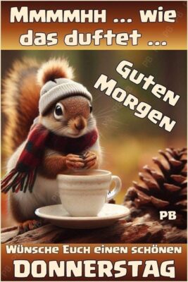 85c3c6f8-2660-437d-bc6d-44141e943ece