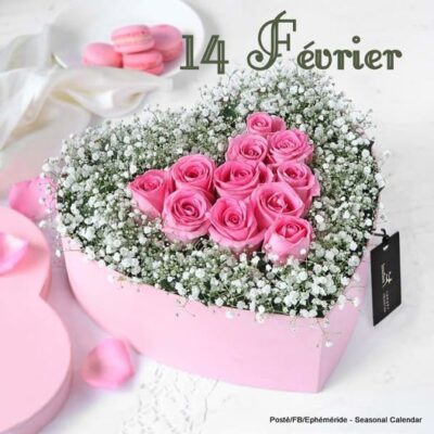 417508893_819099556919015_5280335576376029896_n