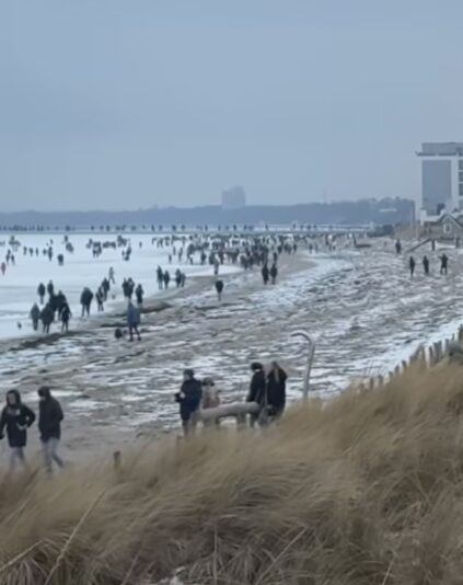 Screenshot_20260209_093609_Instagram