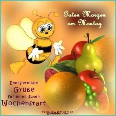 f856d268-9642-40b2-bdaa-a15d9c7a6e82