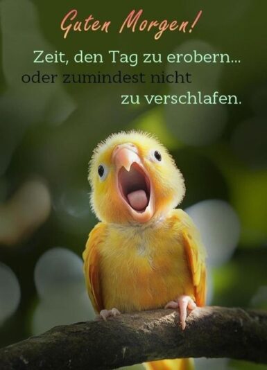 0e2fee21c3f2d58fbd80de64b53ffe66