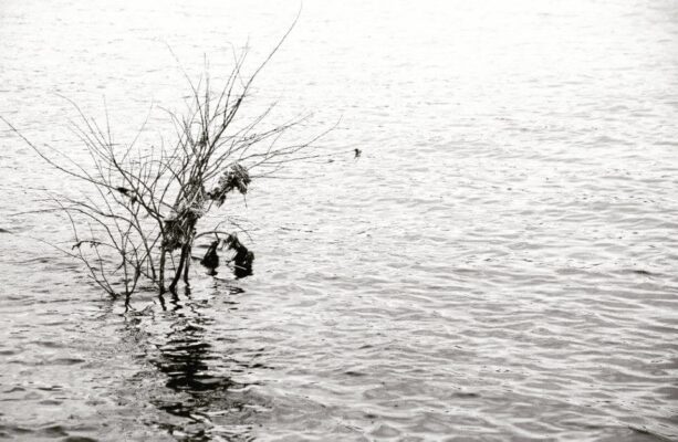 IMG_20210129_160526_191