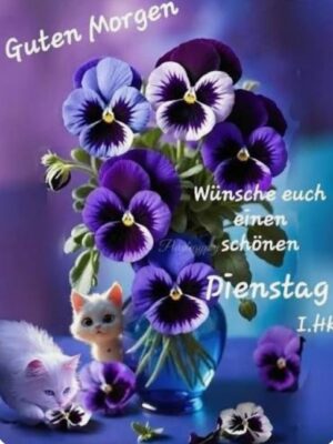 Screenshot_20251209_061918_Google