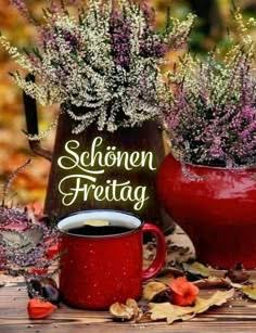 ee63861f-9b00-48ba-97b7-3979de53b56b