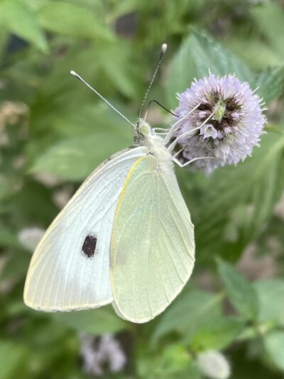 E7AFE332-170E-4273-B508-7674ECB70BA9