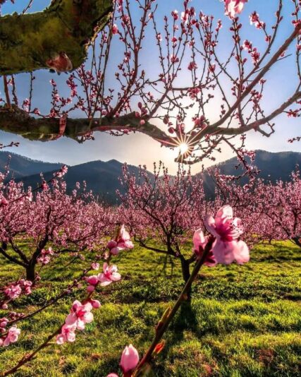 176207141_1209872162800421_2929560341040805366_n (1)