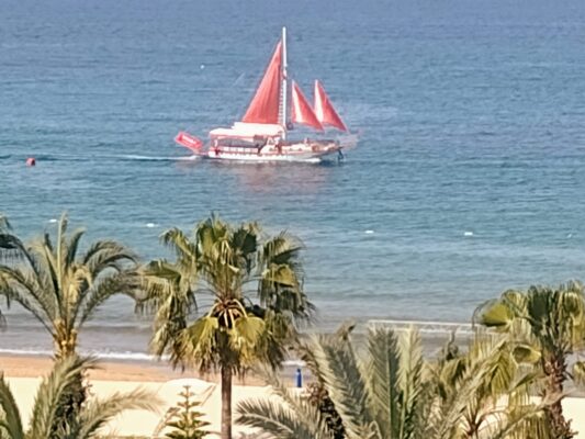 IMG_20220511_093734523