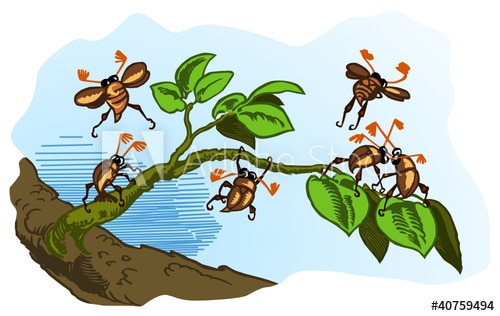 400_F_40759494_CRncRLvSC3kjURtSvdON1Lrshi9c0KX2