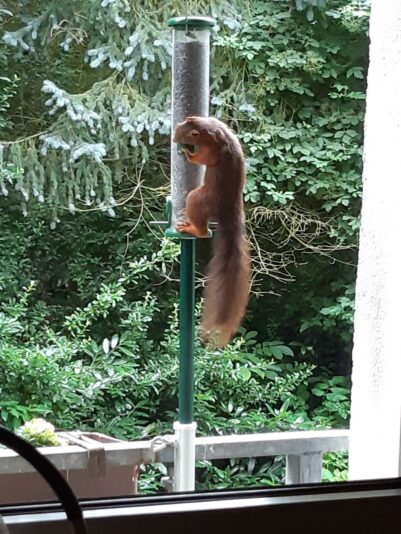 69EEA9F2-7ACE-4F14-ABC9-5580C22E0381