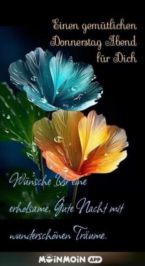 460637831_1035912588000258_5295782406876055487_n.jpg Gutes Nächtle