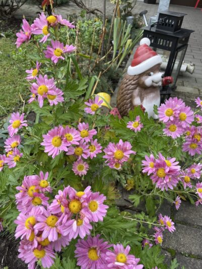 43540E0E-66C9-4FEB-BE2A-583F5E2870D0