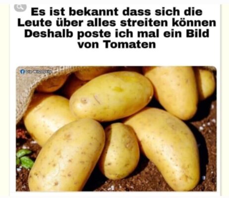 Screenshot_20251121_100509_Gallery