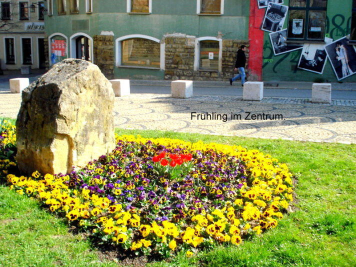 Frühling im Zentrum.