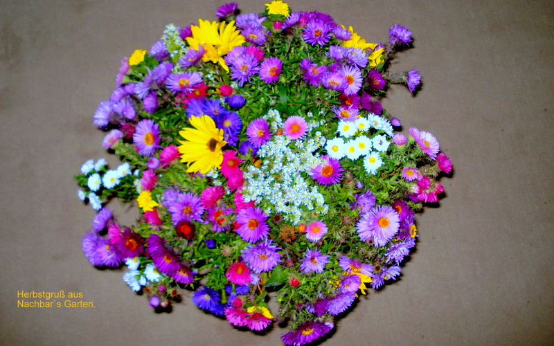 Nachbarschaftsstrauß.