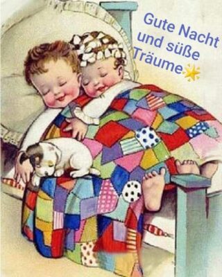 326e66eb623ea1c9aa739594cb264f8e.jpg gute Nacht