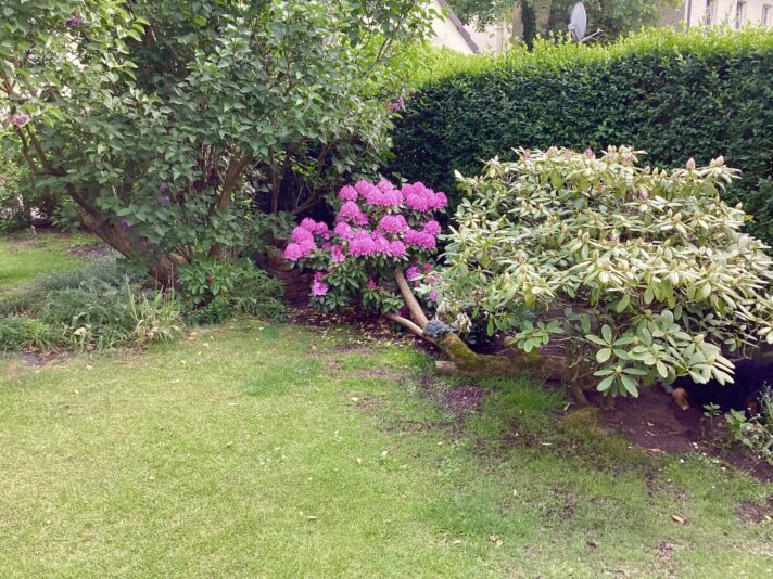 275E3242-74F8-493D-8D24-7C3B2D998D7C