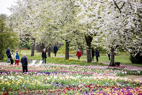 frühling_berlin00003