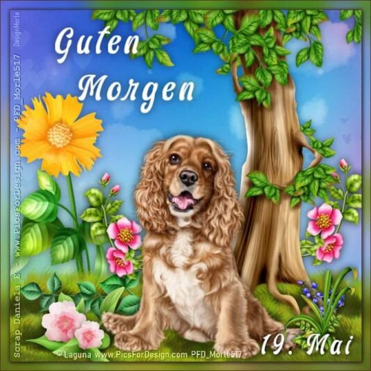 441900395_7602225789868930_9005961337186041459_n (2)