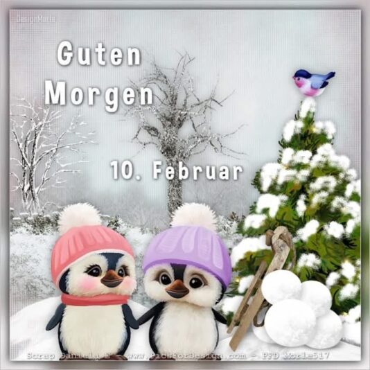 IMG_6915.JPG 10. 2. 25