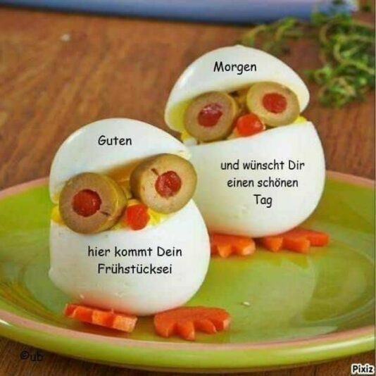 6f3f3a9eee35a6271d1057d4b3e26ac5