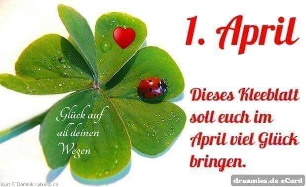 338957618_3161325180840413_5515753764587140583_n (3)