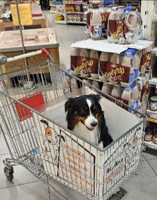 Screenshot_20250826_214455_WhatsApp