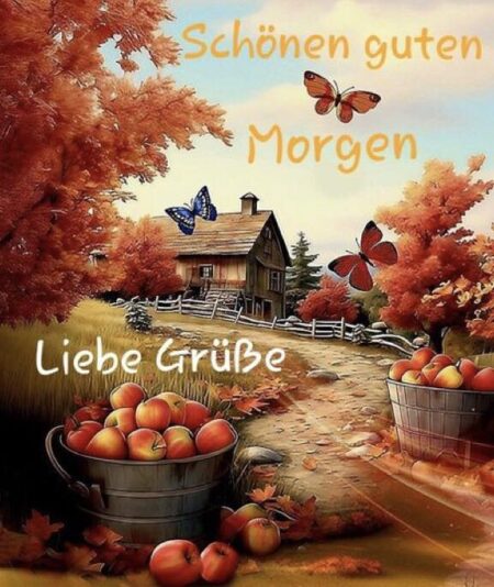 577186613_1377213264420755_5373190416247373528_n (1)