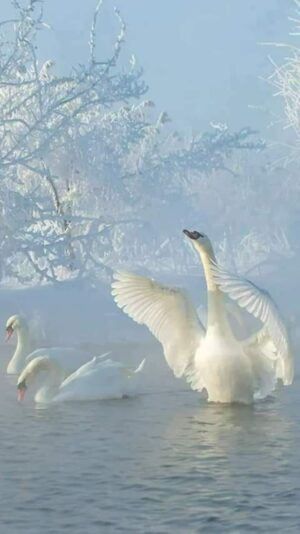 148022504_219765023162578_1786388791010449515_o