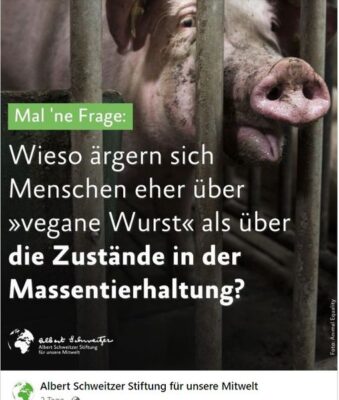 380953756_618383557120169_9081849736536950047_n