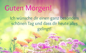 guten morgen