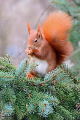 124223339_1041174196347935_954894403498562941_n