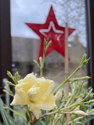 0F402520-8975-478F-BCAB-639200BE5DEA