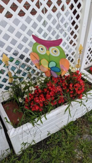 PXL_20230808_155836596